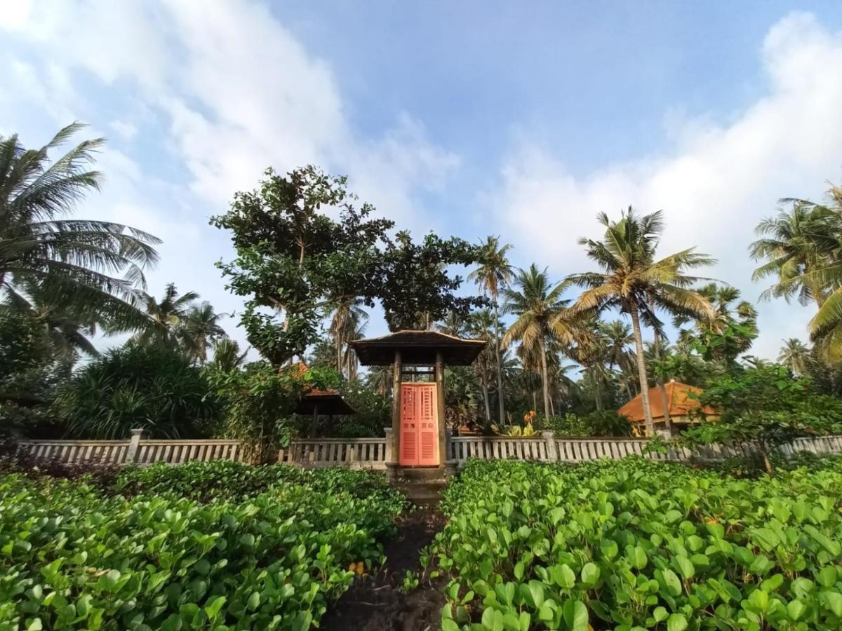 Bali North Beach B&B Tianyar ภายนอก รูปภาพ